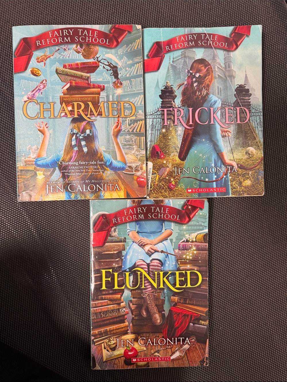 Fairy tale reformed school book bundle kids